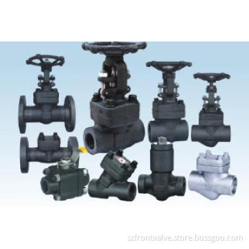 Forged Steel Valves-Gate Valve, Globe Valve, Ball Valve and Check Valve